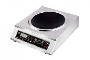 ICW 3500 WOK