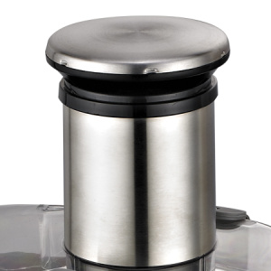 Соковыжималка RGV Industrial Juicer